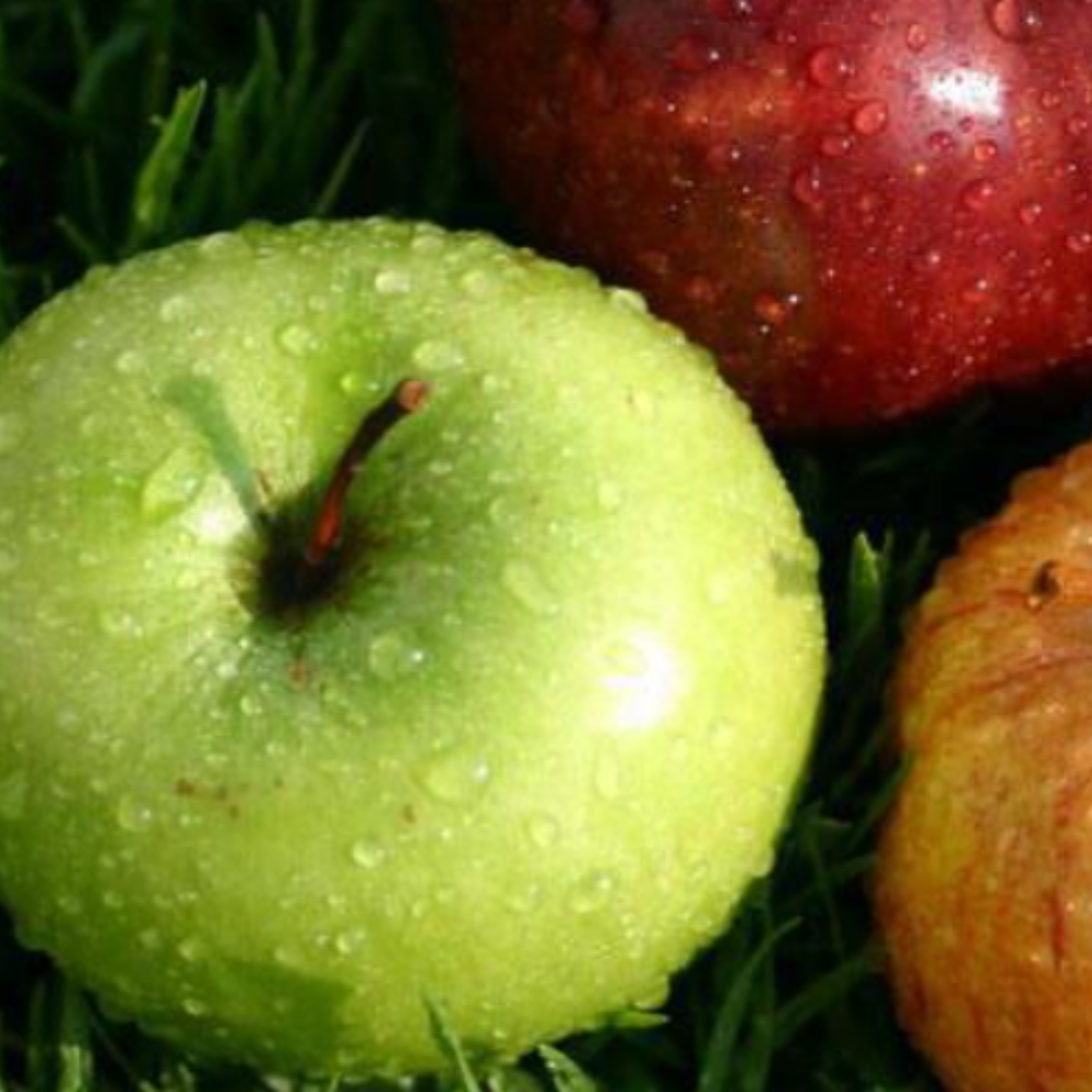 Apple Jack & Peel