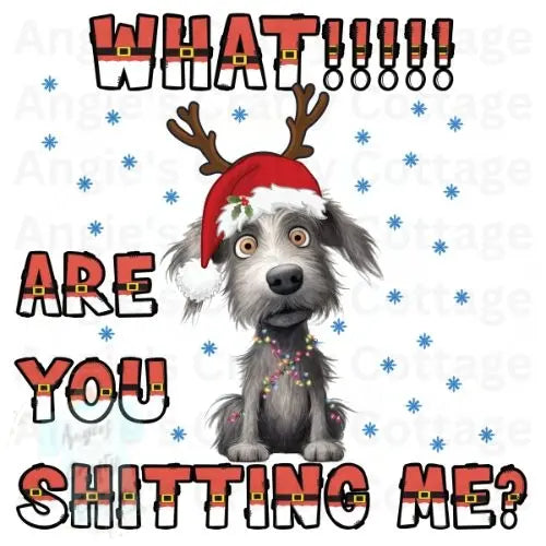 WHAT!!!!  ARE YOU SHITTING ME? DIGITAL DOWNLOAD Angie's Crafty Cottage