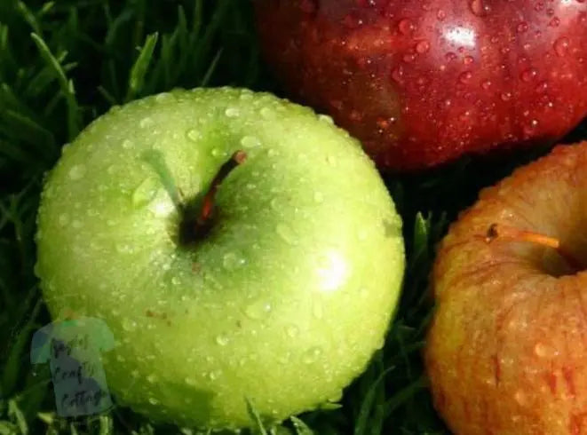 Apple Jack & Peel Angie's Crafty Cottage