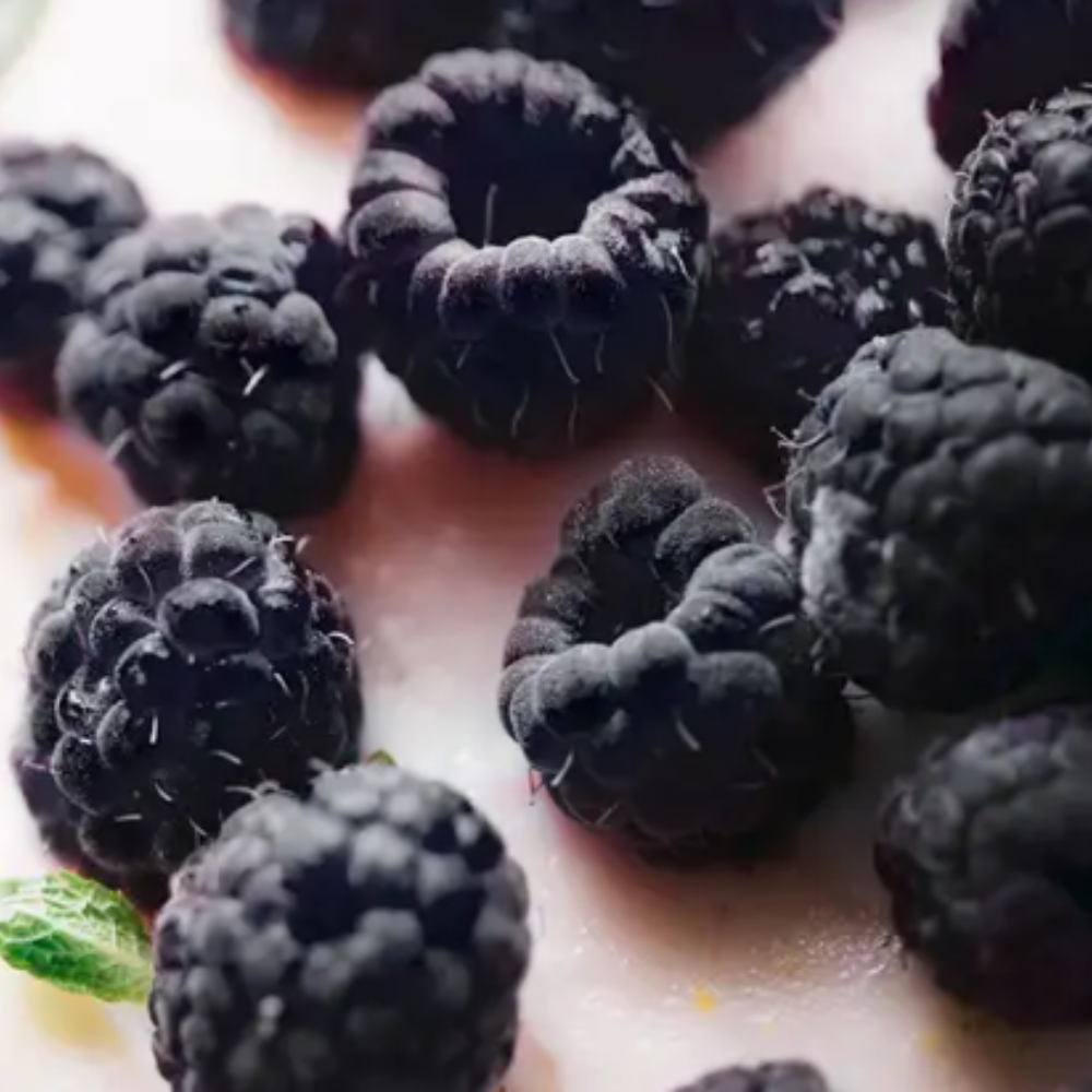 Blackberry Raspberry Vanilla