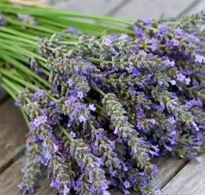 Lavender Angie's Crafty Cottage