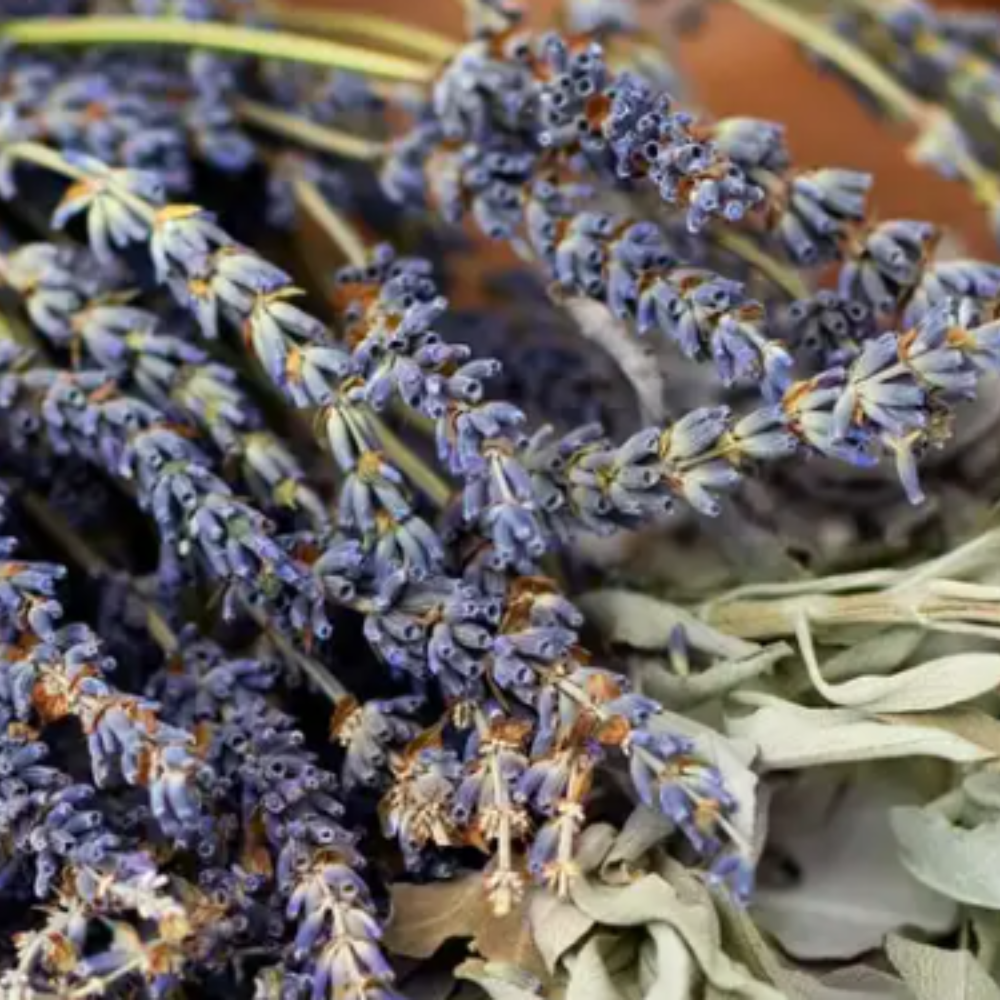 White Sage and Lavender